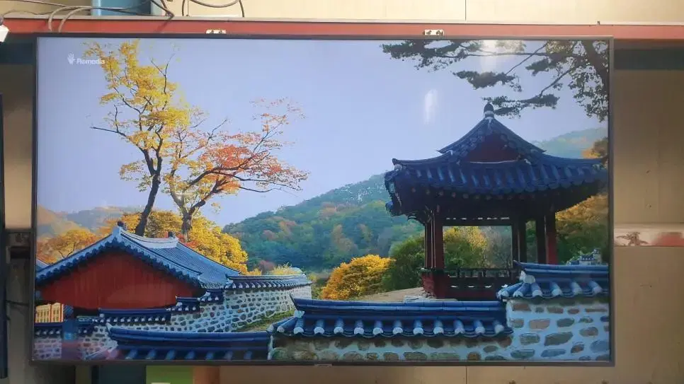 삼성정품 65인치 UHD TV 59만원 배송가능